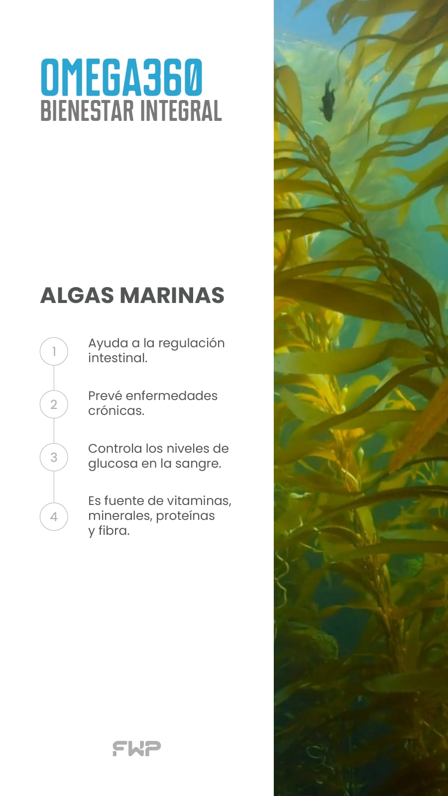 OMEGA 360