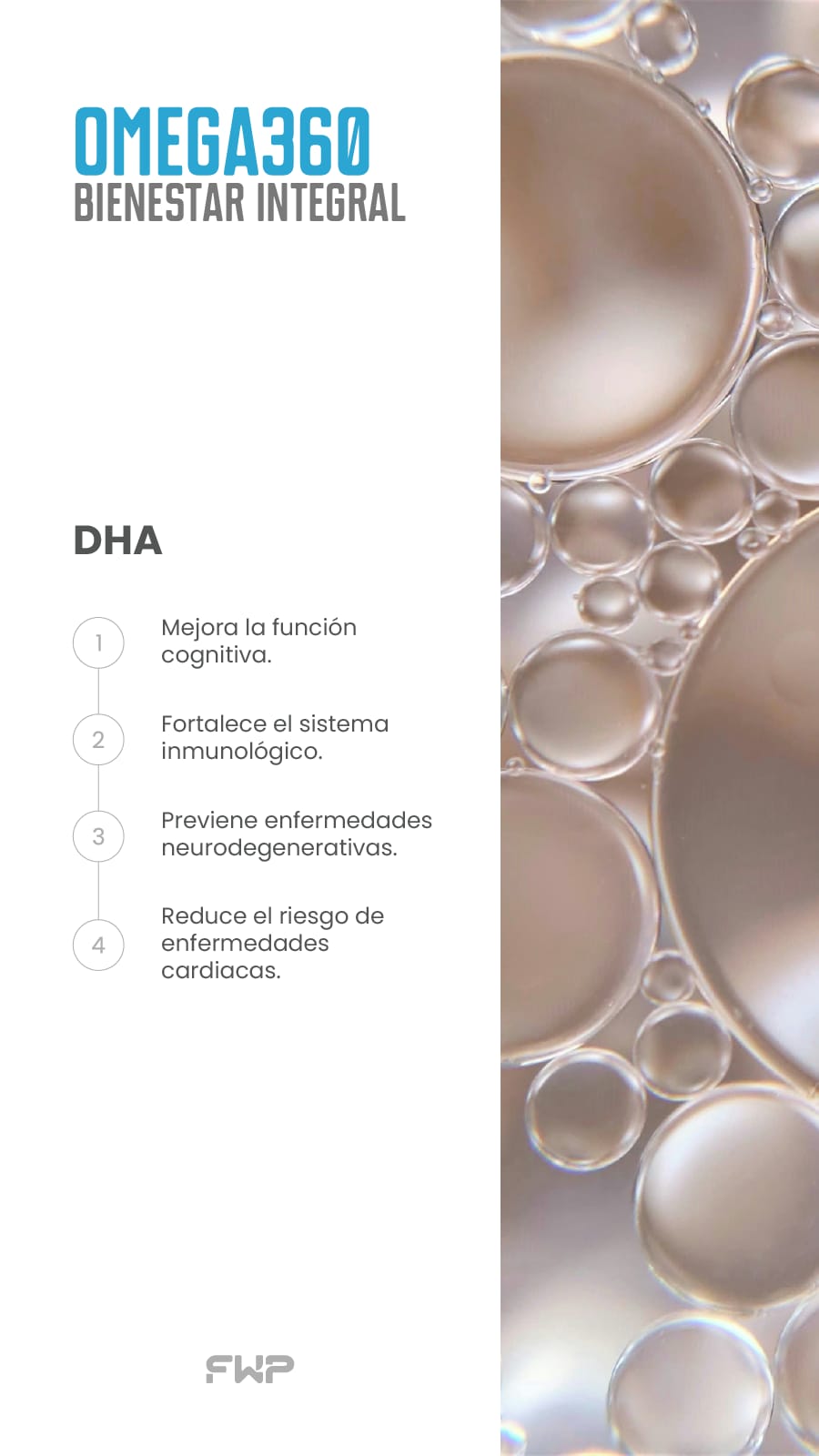 OMEGA 360