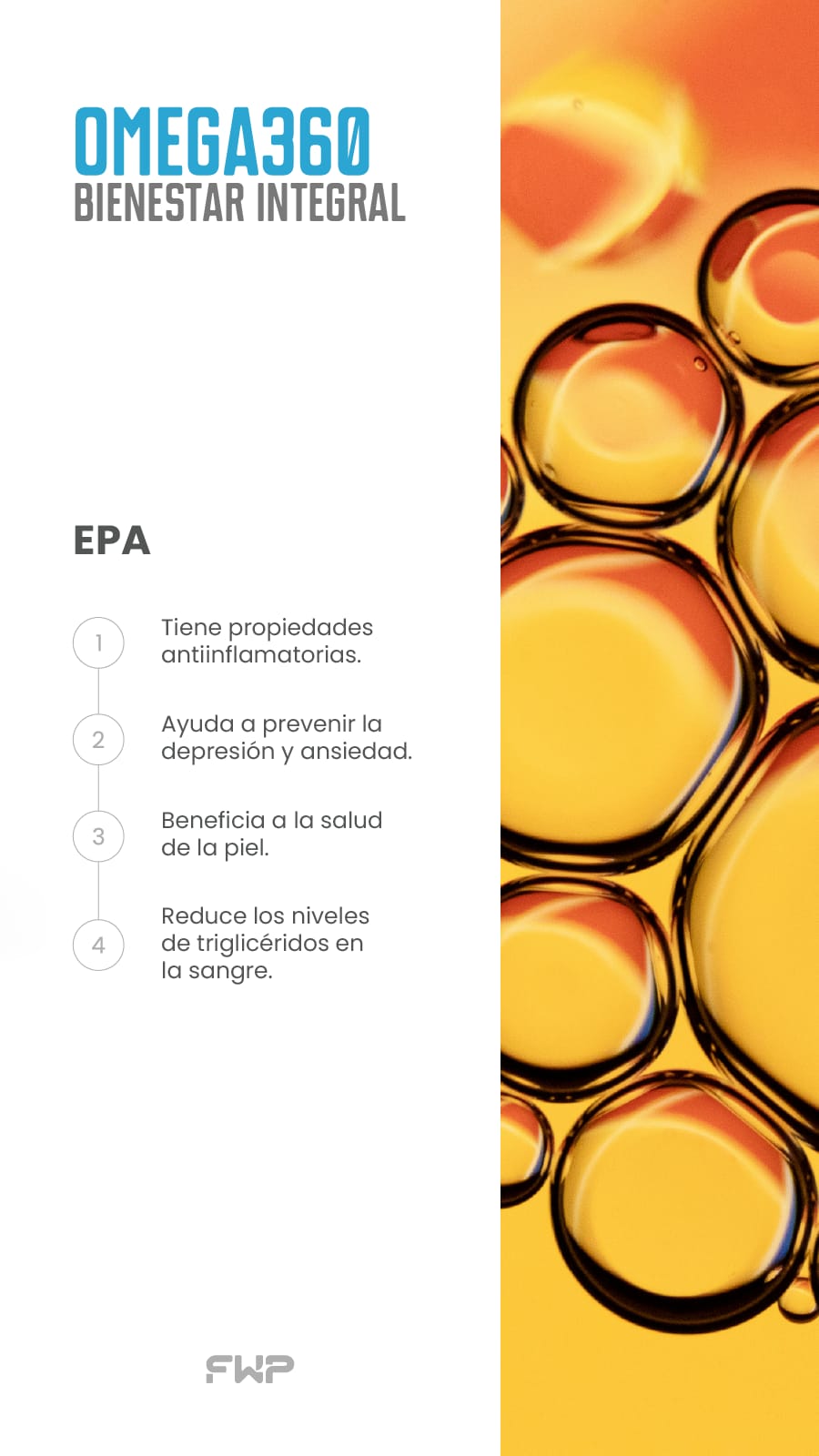 OMEGA 360